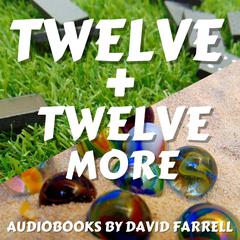 Twelve + Twelve More Audiobook, by David Farrell