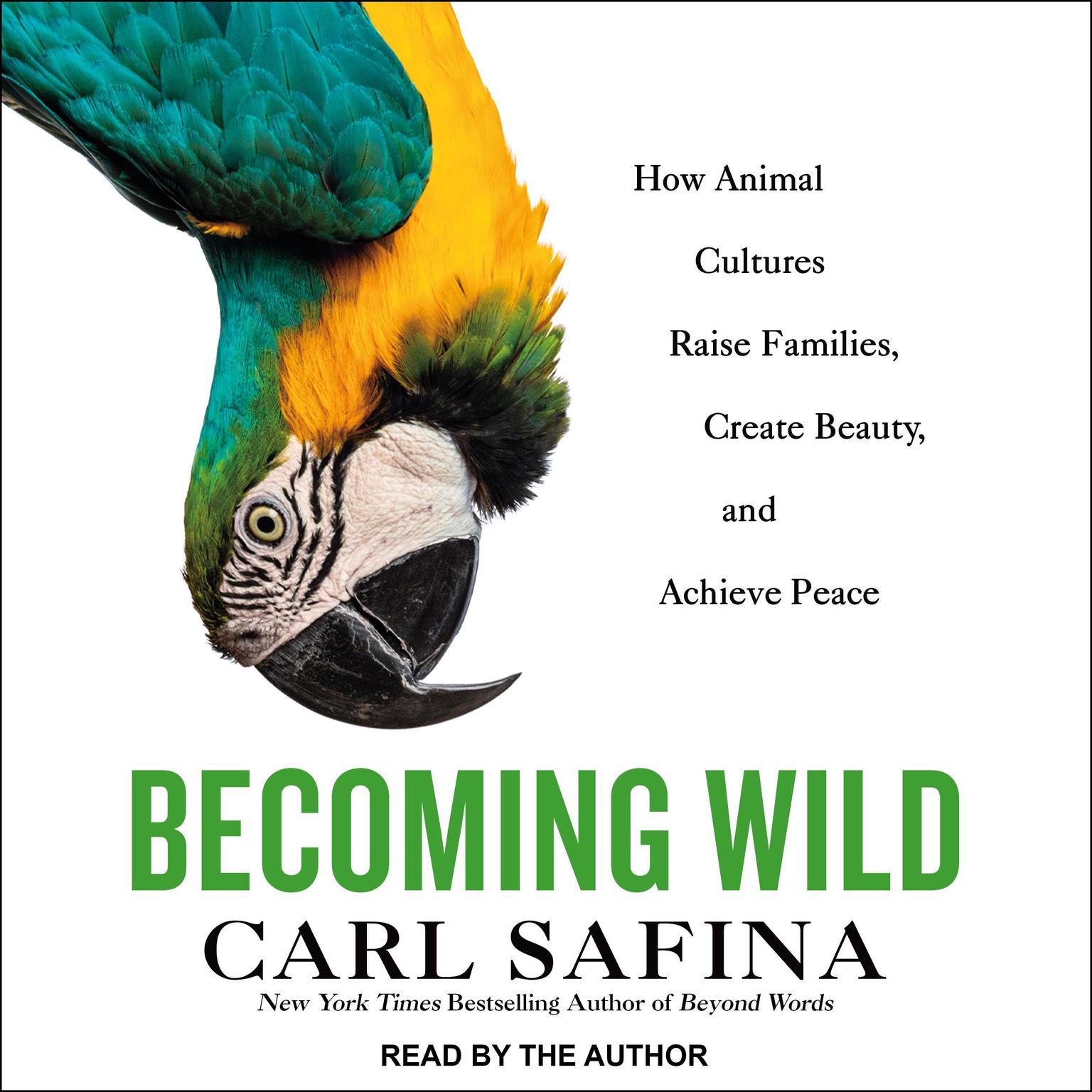 Becoming Wild: How Animal Cultures Raise Families, Create Beauty, and Achieve Peace Audiobook, by Carl Safina