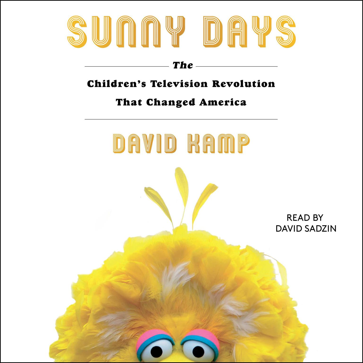 Sunny Days: The Childrens Television Revolution That Changed America Audiobook, by David Kamp