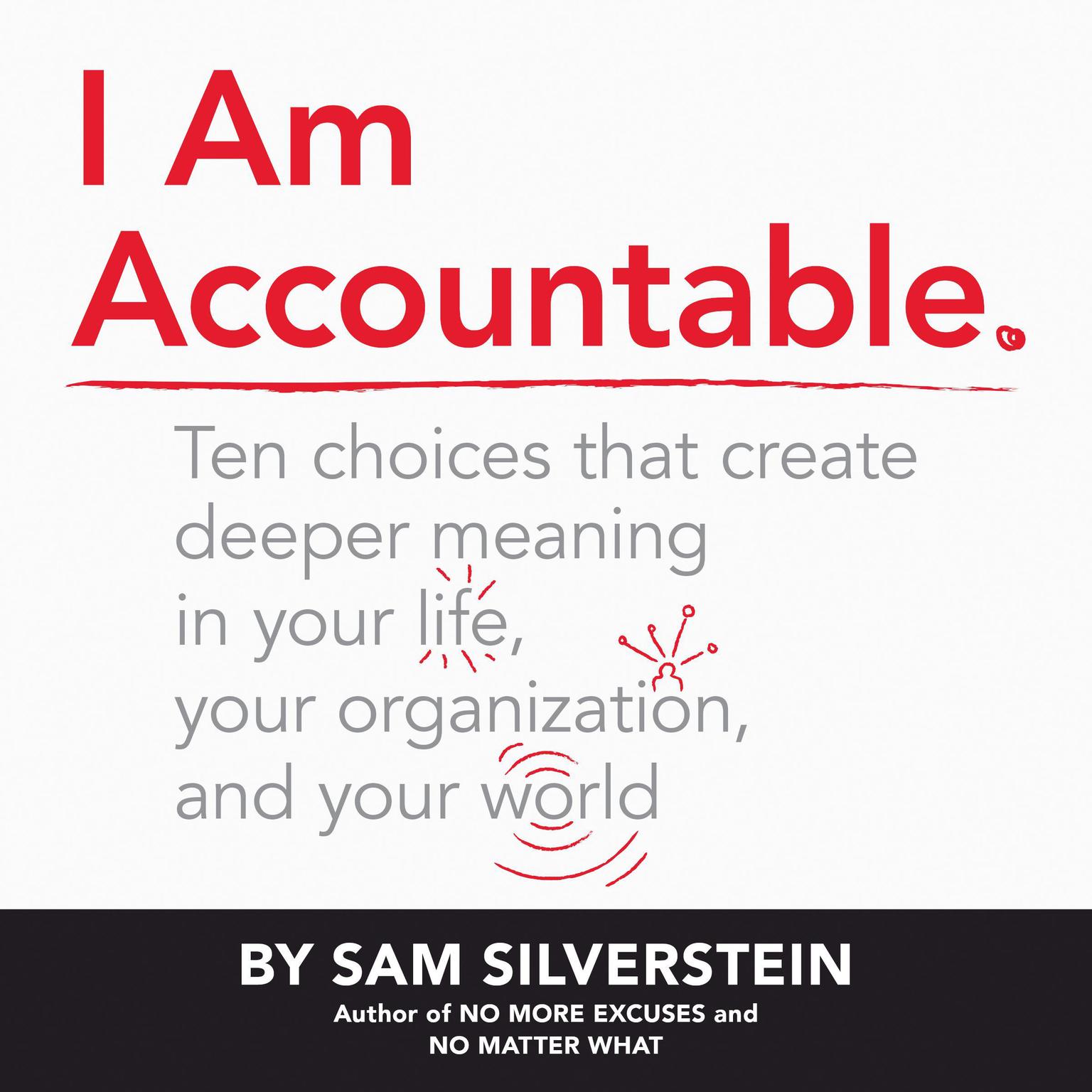 I Am Accountable Audiobook, by Sam Silverstein