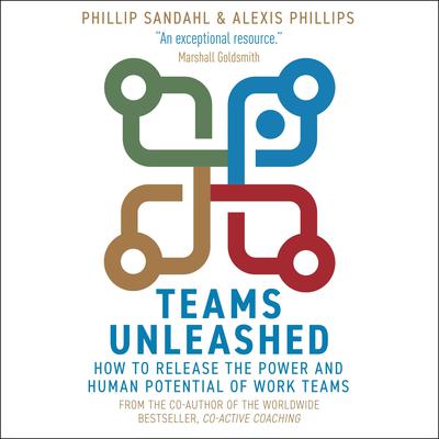 Teams Unleashed: How to Release the Power and Human Potential of Work Teams Audiobook, by Phillip Sandahl