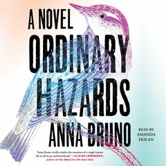 Ordinary Hazards: A Novel Audiobook, by Anna Bruno