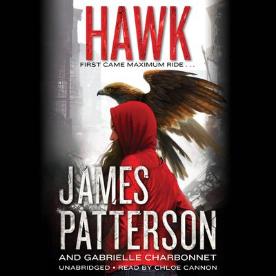 Hawk Audiobook, by James Patterson