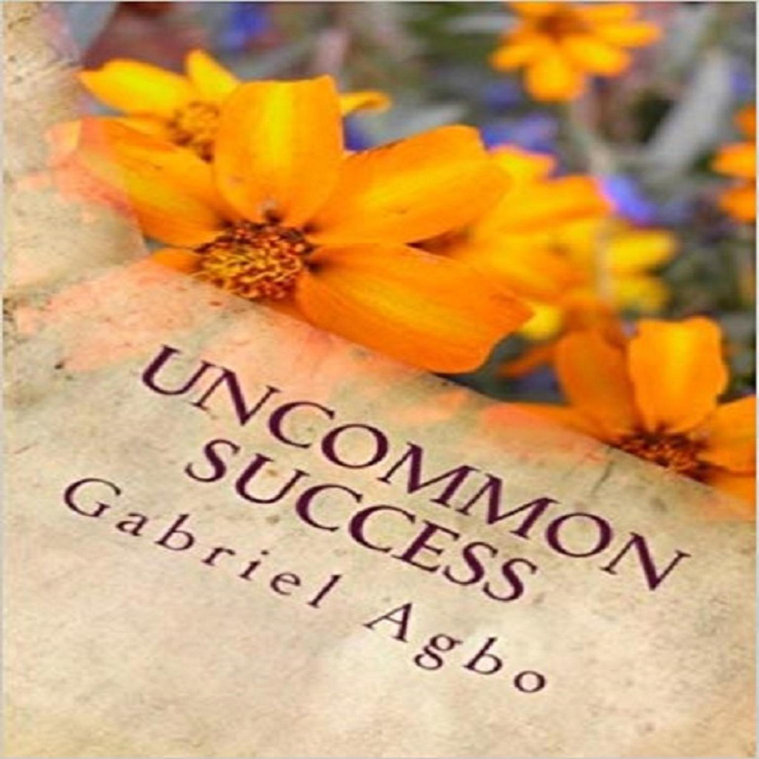 Uncommon Success Audiobook, by Gabriel  Agbo