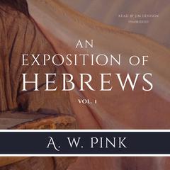 An Exposition of Hebrews, Vol. 1 Audiobook, by 