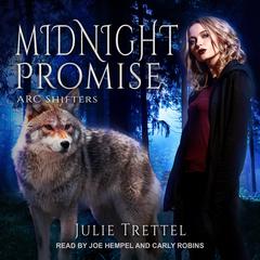 Midnight Promise Audiobook, by Julie Trettel