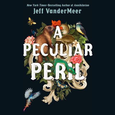 A Peculiar Peril Audiobook, by Jeff VanderMeer