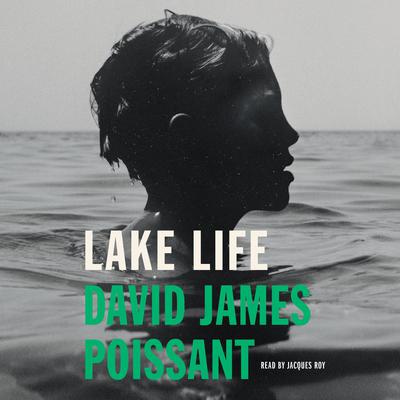 Lake Life: A Novel Audiobook, by David James Poissant