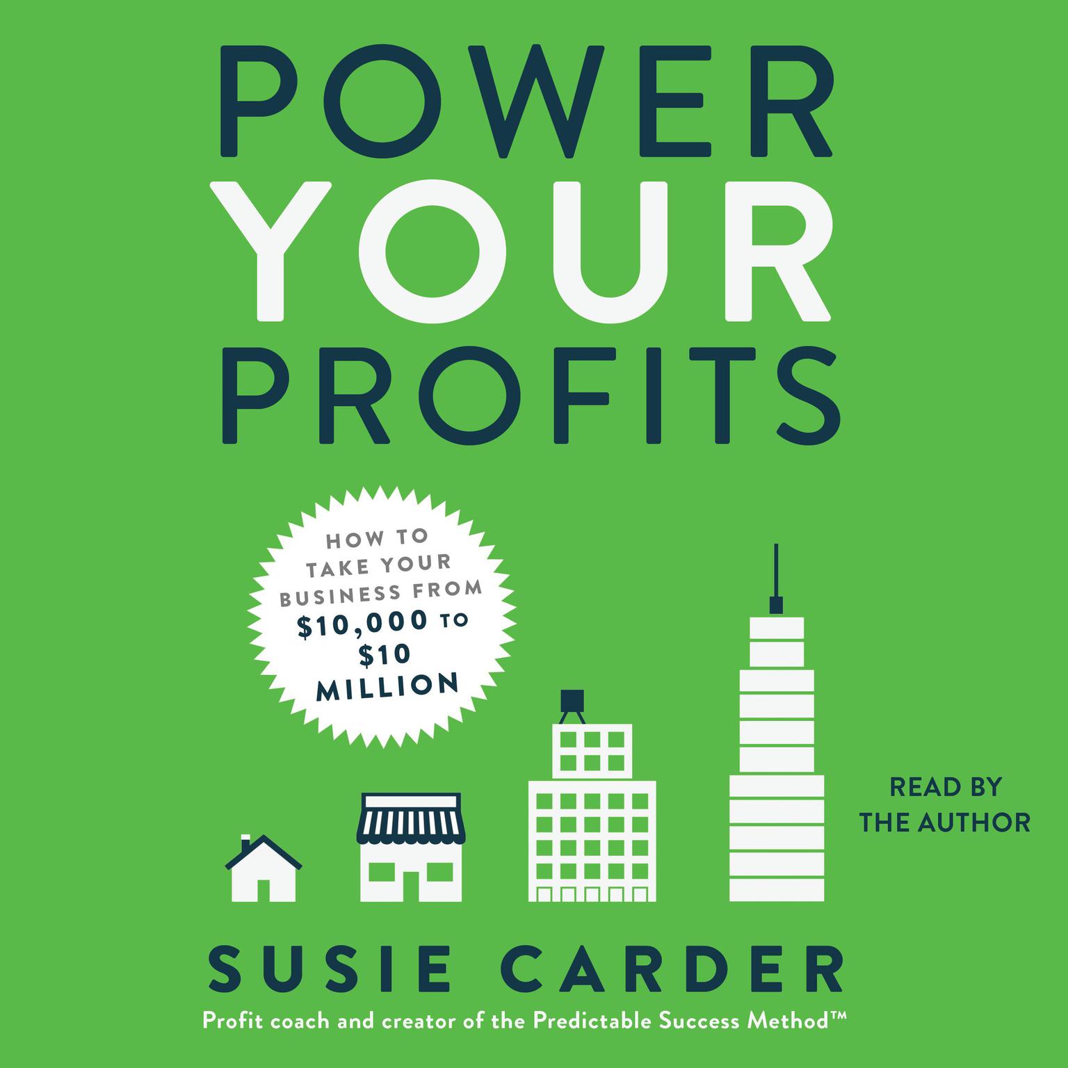 Power Your Profits: How to Take Your Business from $10,000 to $10,000,000 Audiobook, by Susie Carder