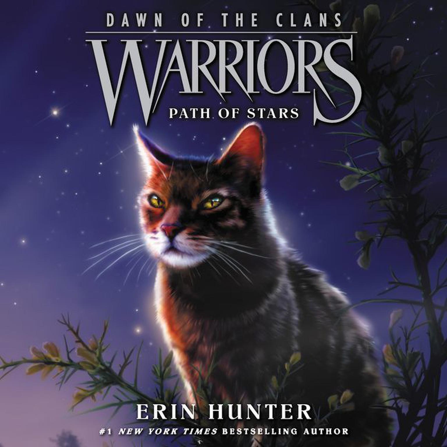 Warriors: Dawn of the Clans #6: Path of Stars Audiobook, by Erin Hunter