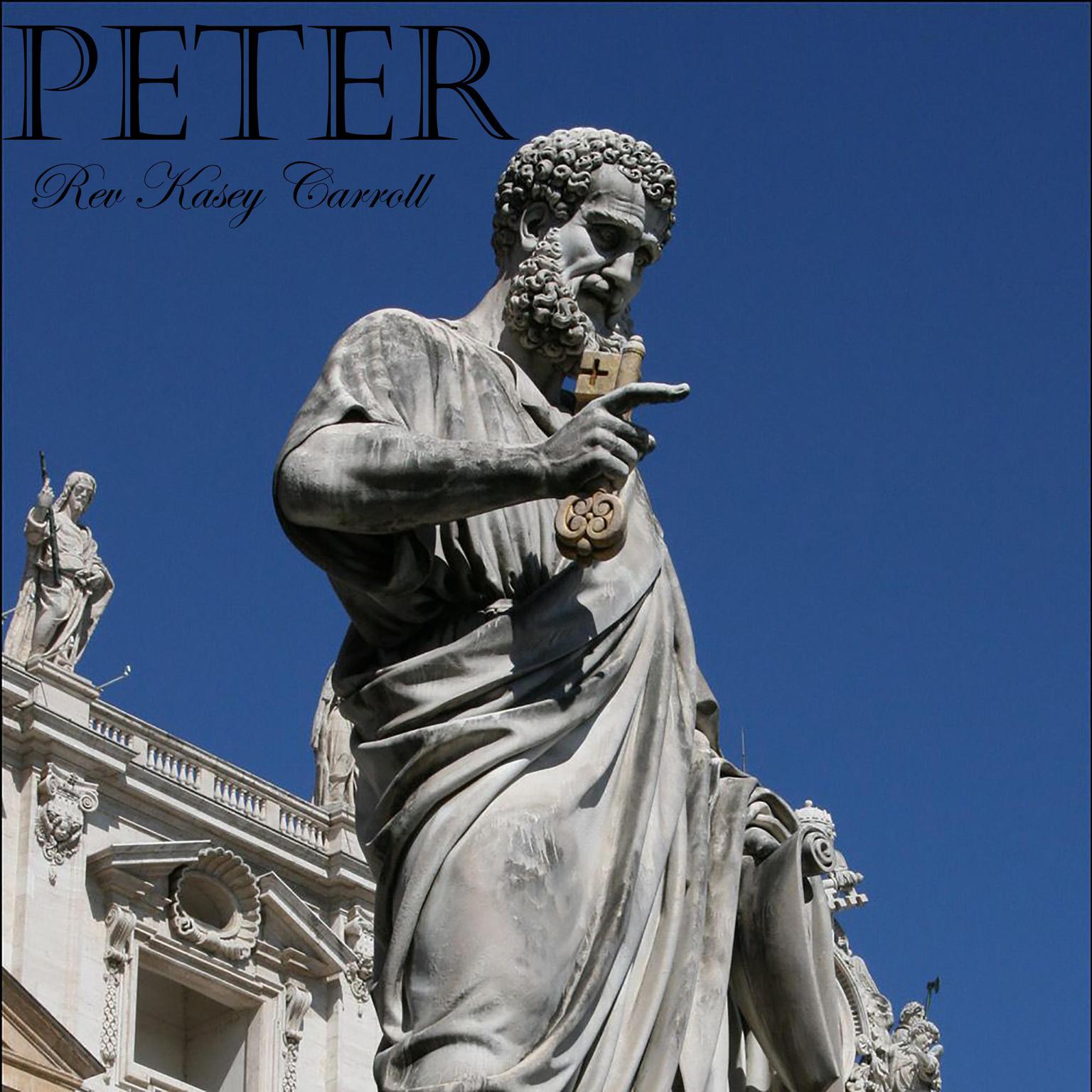 Peter Audiobook, by Kasey Carroll