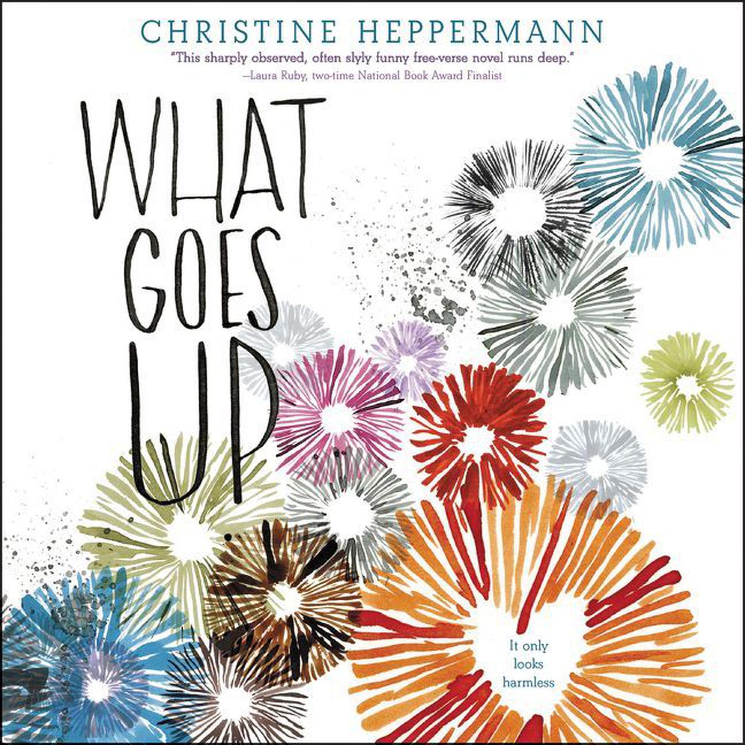 What Goes Up Audiobook, by Christine Heppermann