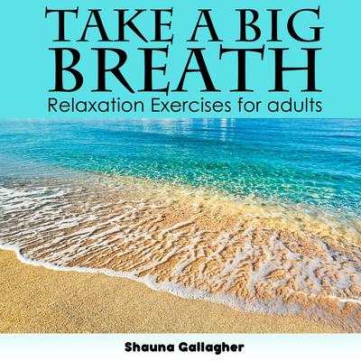 Take A Big Breath For Adults Audiobook, by Shauna Gallagher