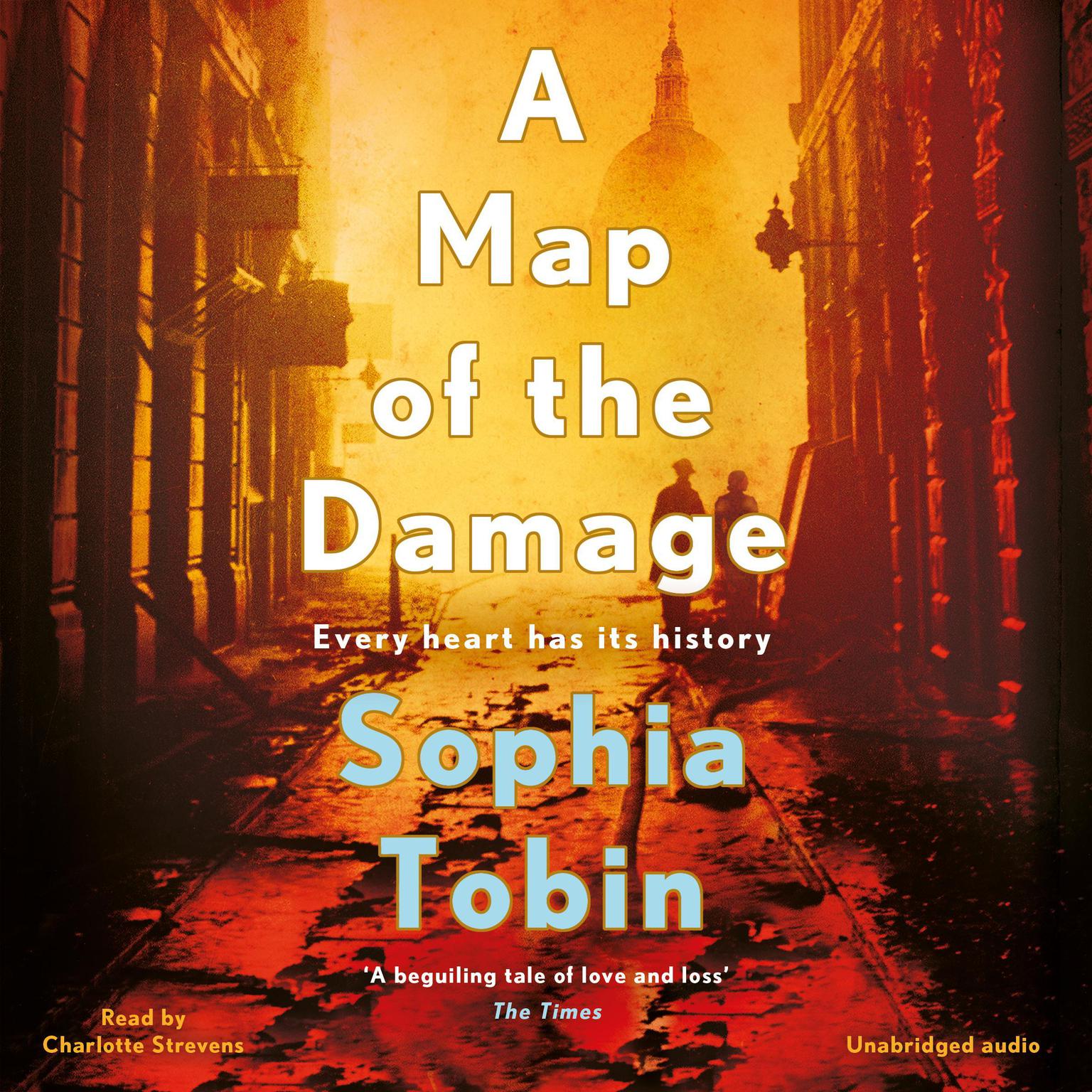 A Map of the Damage Audiobook, by Sophia Tobin