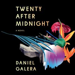 Twenty After Midnight: A Novel Audiobook, by Daniel Galera