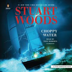 Choppy Water Audiobook, by Stuart Woods