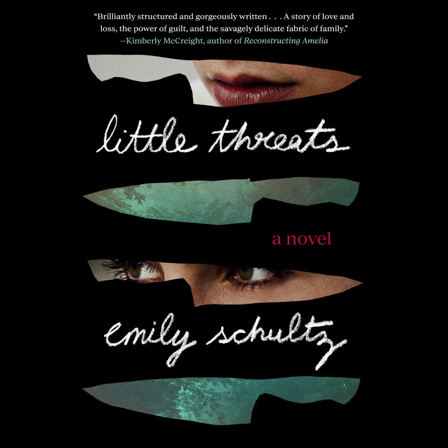 Little Threats Audiobook, by Emily Schultz