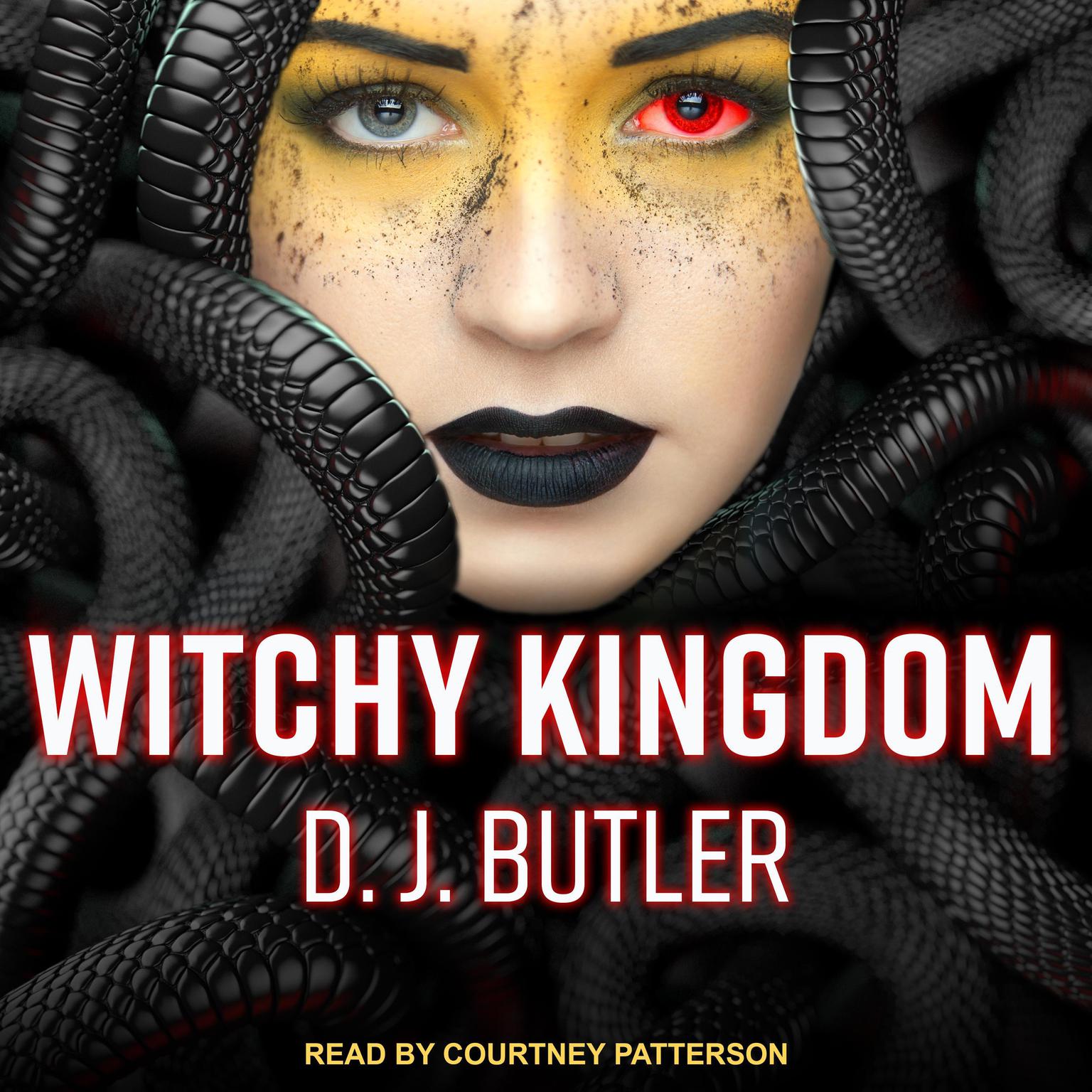 Witchy Kingdom Audiobook, by D.J. Butler