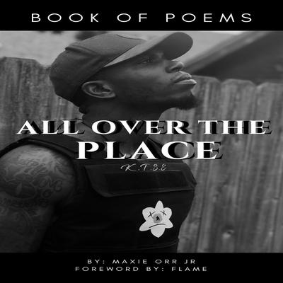 All Over The Place Audiobook, by Maxie  Orr