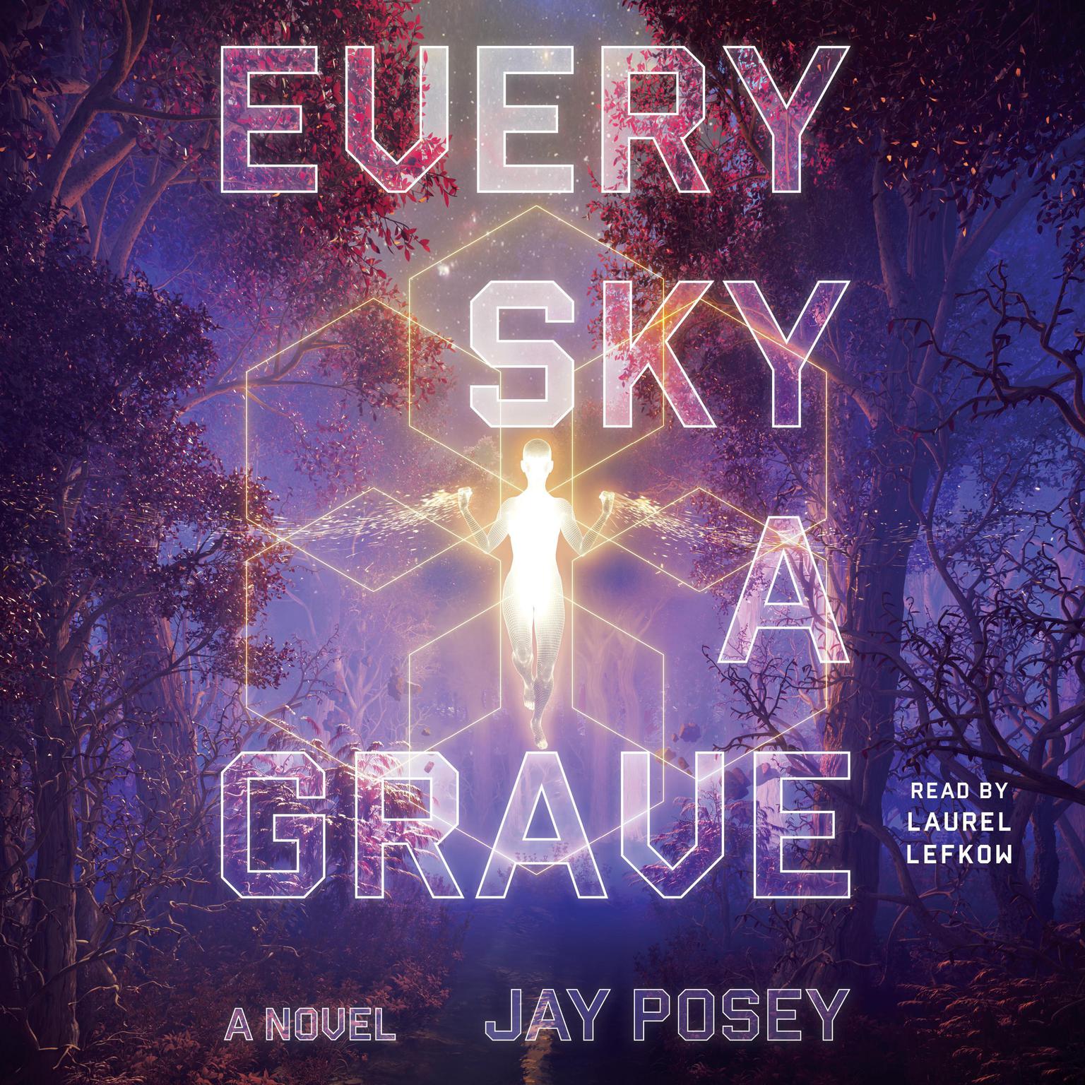 Every Sky a Grave: A Novel Audiobook, by Jay Posey