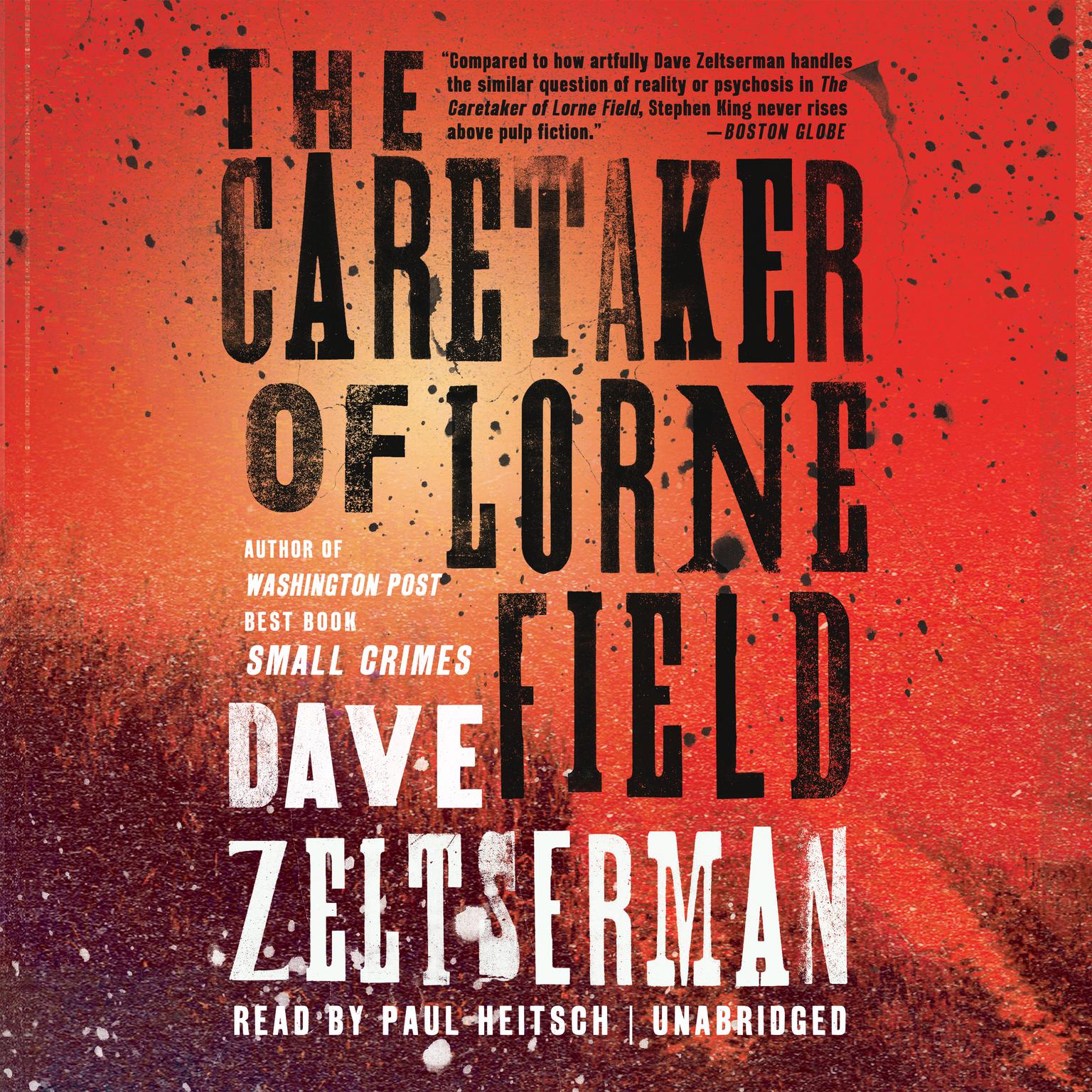 The Caretaker of Lorne Field Audiobook, by Dave Zeltserman