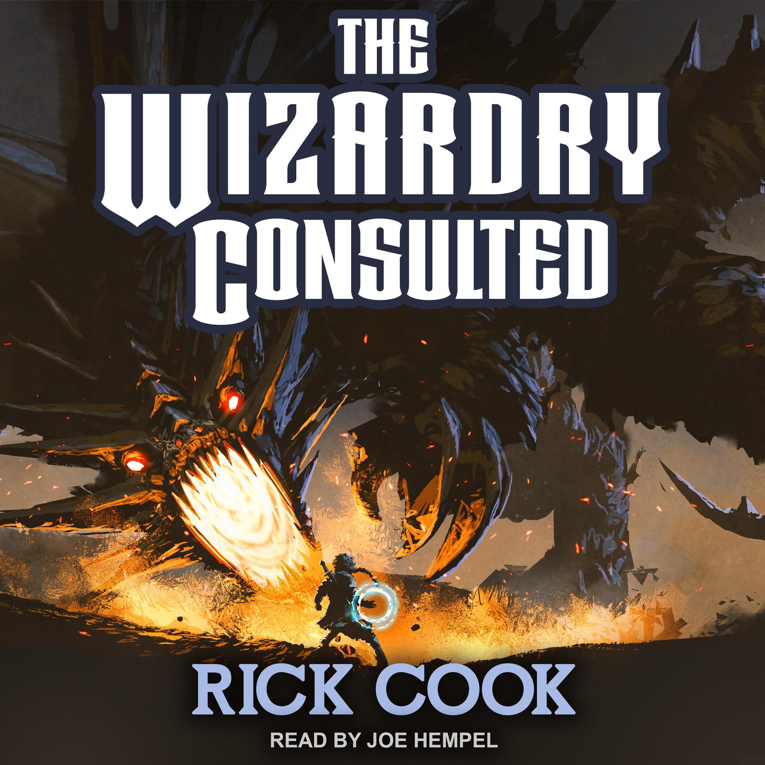 The Wizardry Consulted Audiobook, by Rick Cook