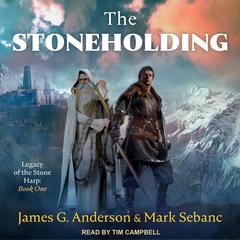 The Stoneholding Audiobook, by James G. Anderson