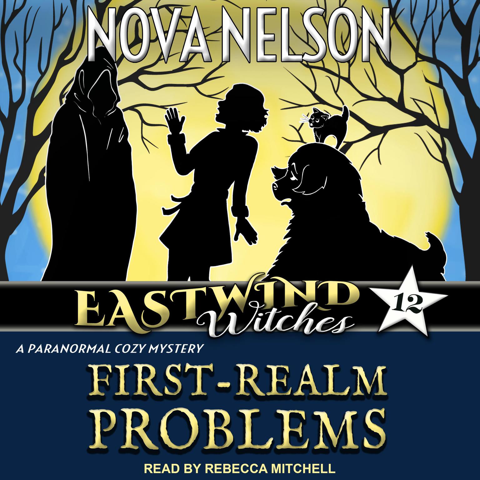 First-Realm Problems Audiobook, by Nova Nelson