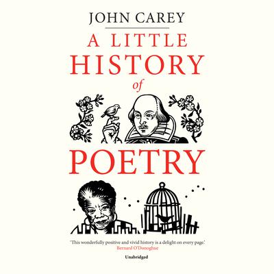 A Little History of Poetry Audiobook, by John Carey