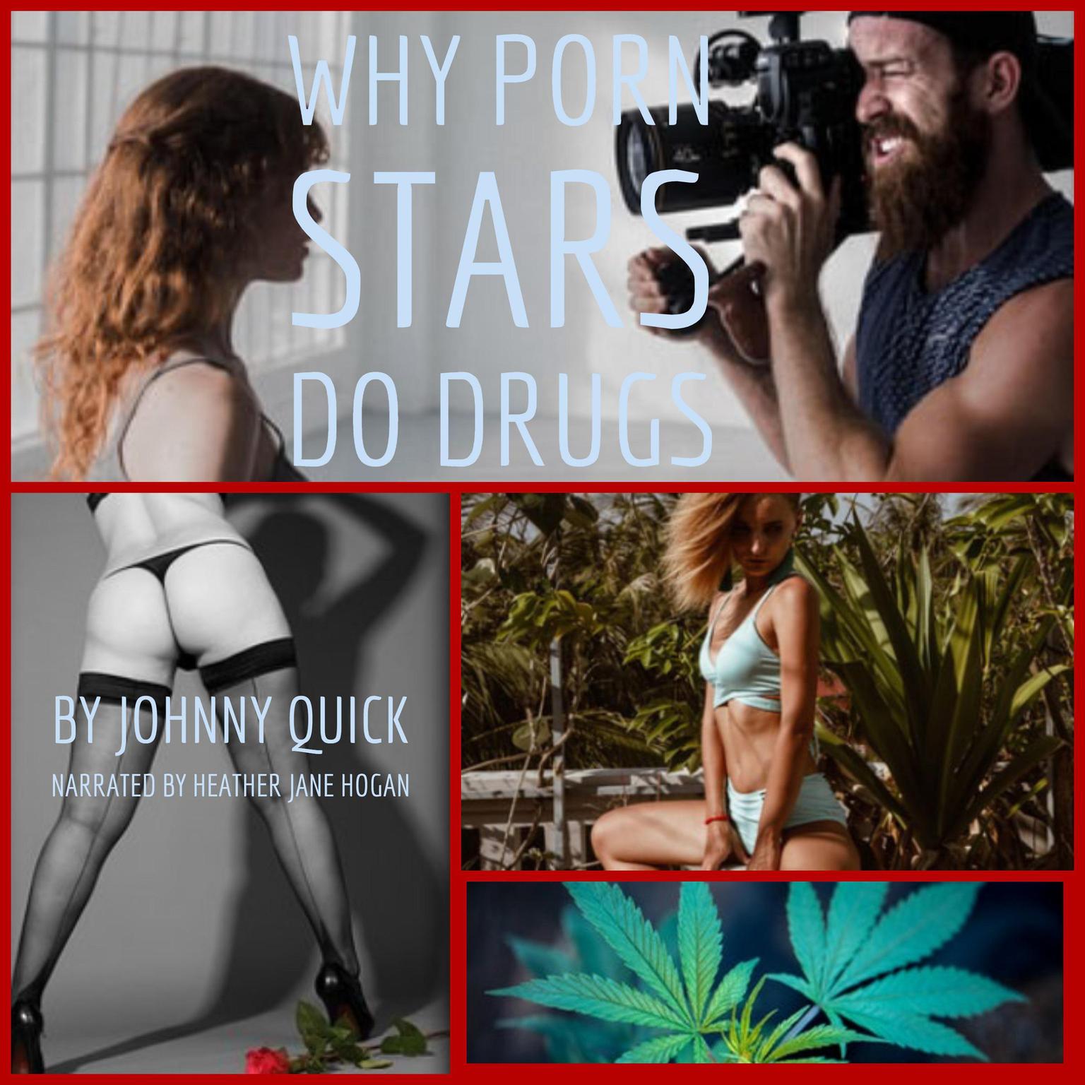 Why Porn Stars Do Drugs  Audiobook, by Johnny Quick