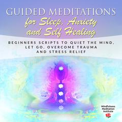 Guided Meditations for Sleep, Anxiety and Self Healing: Beginners Scripts to quiet the Mind, Let Go, overcome Trauma and Stress Relief (Guided Meditations and Mindfulness Book 3 Audiobook, by Mindfulness Meditation Institute