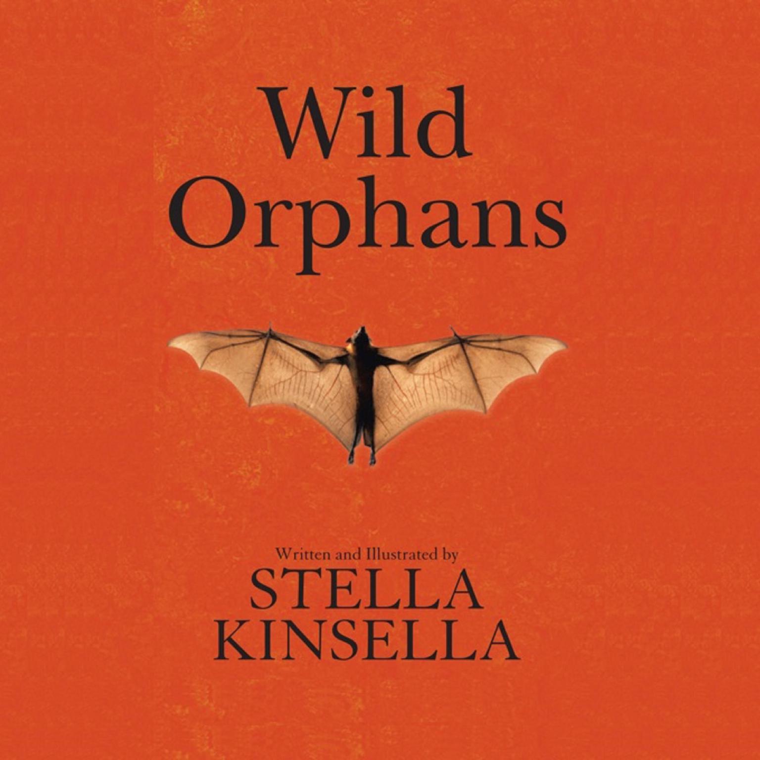 Wild Orphans Audiobook, by Stella Kinsella