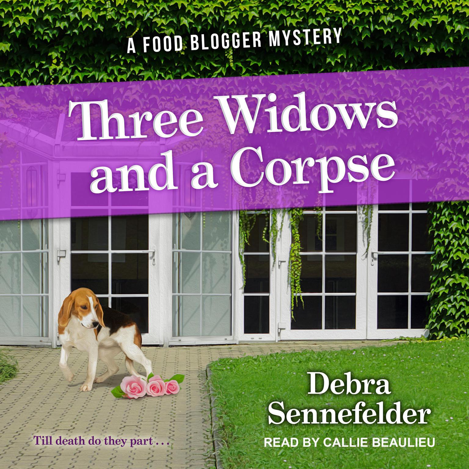 Three Widows and a Corpse Audiobook, by Debra Sennefelder