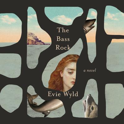 The Bass Rock: A Novel Audiobook, by Evie Wyld