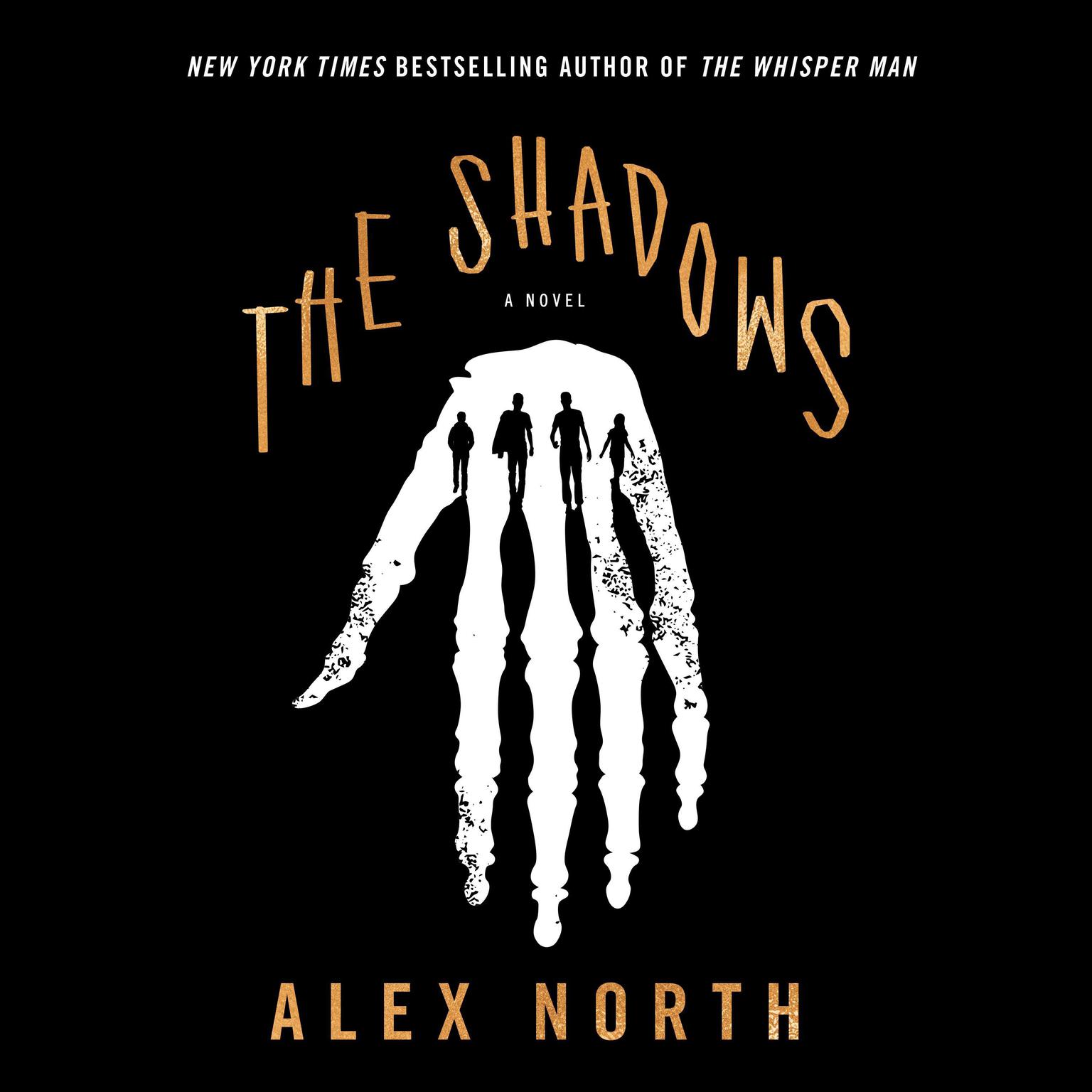 The Shadows: A Novel Audiobook, by Alex North