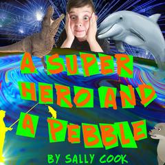 A Superhero and a Pebble Audiobook, by Sally Cook