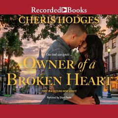 Owner of a Broken Heart Audiobook, by Cheris Hodges