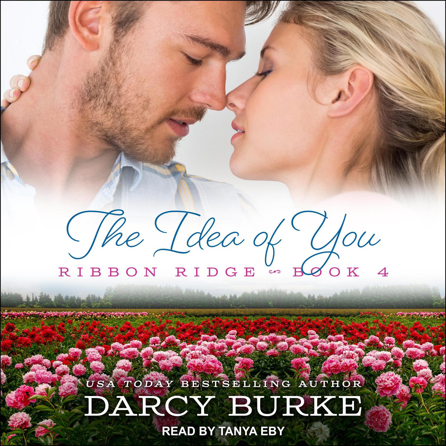 The Idea of You Audiobook, by Darcy Burke