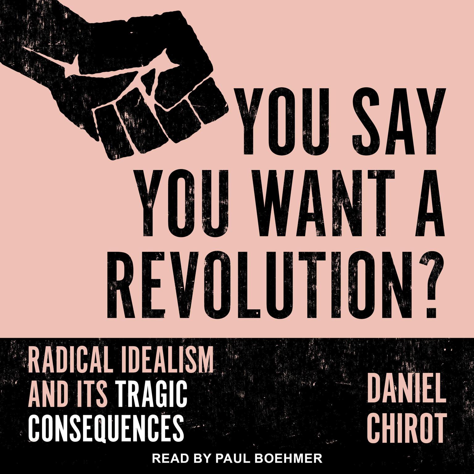 You Say You Want a Revolution?: Radical Idealism and Its Tragic Consequences Audiobook, by Daniel Chirot