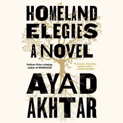 Homeland Elegies: A Novel Audiobook, by 
