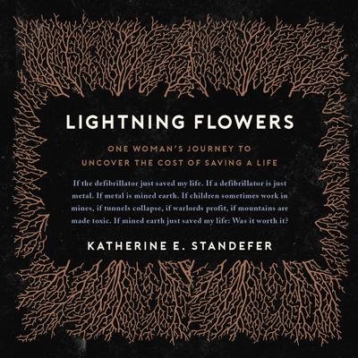 Lightning Flowers: My Journey to Uncover the Cost of Saving a Life Audiobook, by Katherine E. Standefer