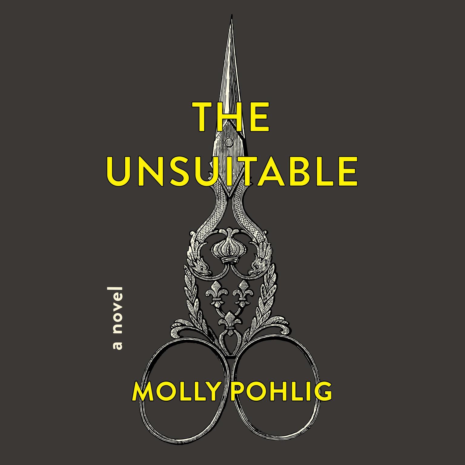 The Unsuitable: A Novel Audiobook, by Molly Pohlig