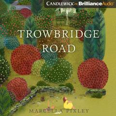 Trowbridge Road Audiobook, by Marcella Pixley
