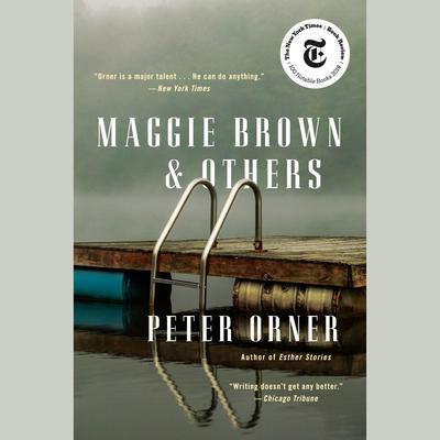Maggie Brown & Others: Stories Audiobook, by Peter Orner