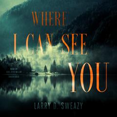 Where I Can See You Audiobook, by Larry D. Sweazy