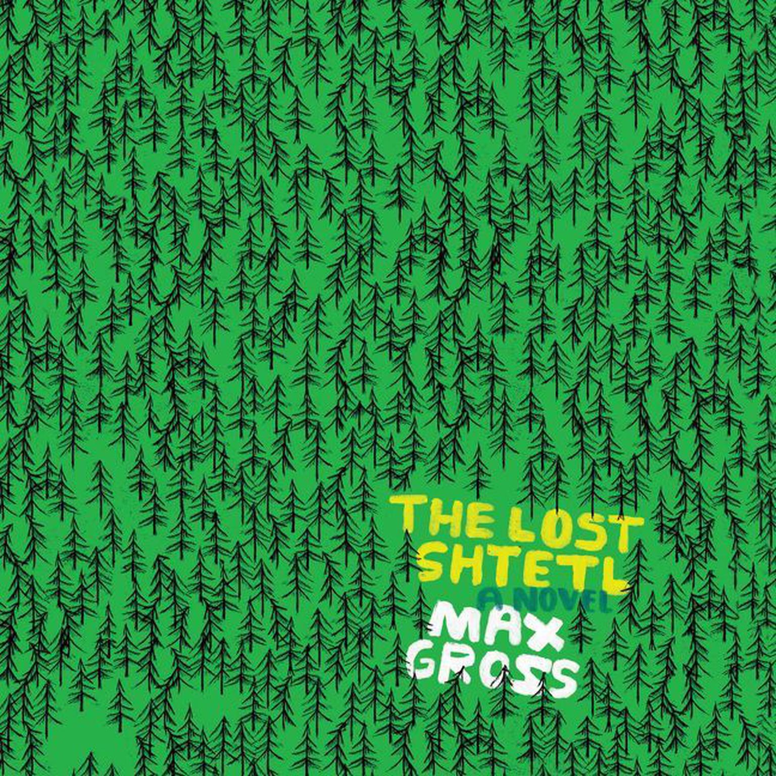The Lost Shtetl: A Novel Audiobook, by Max Gross
