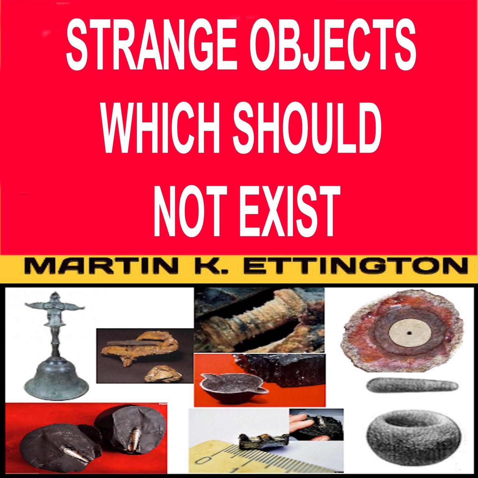 Strange Objects Which Should Not Exist Audiobook, by Martin K. Ettington
