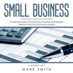 Small Business: A Complete Guide to Accounting Principles, Bookkeeping Principles and Taxes for Small Business Audiobook, by 