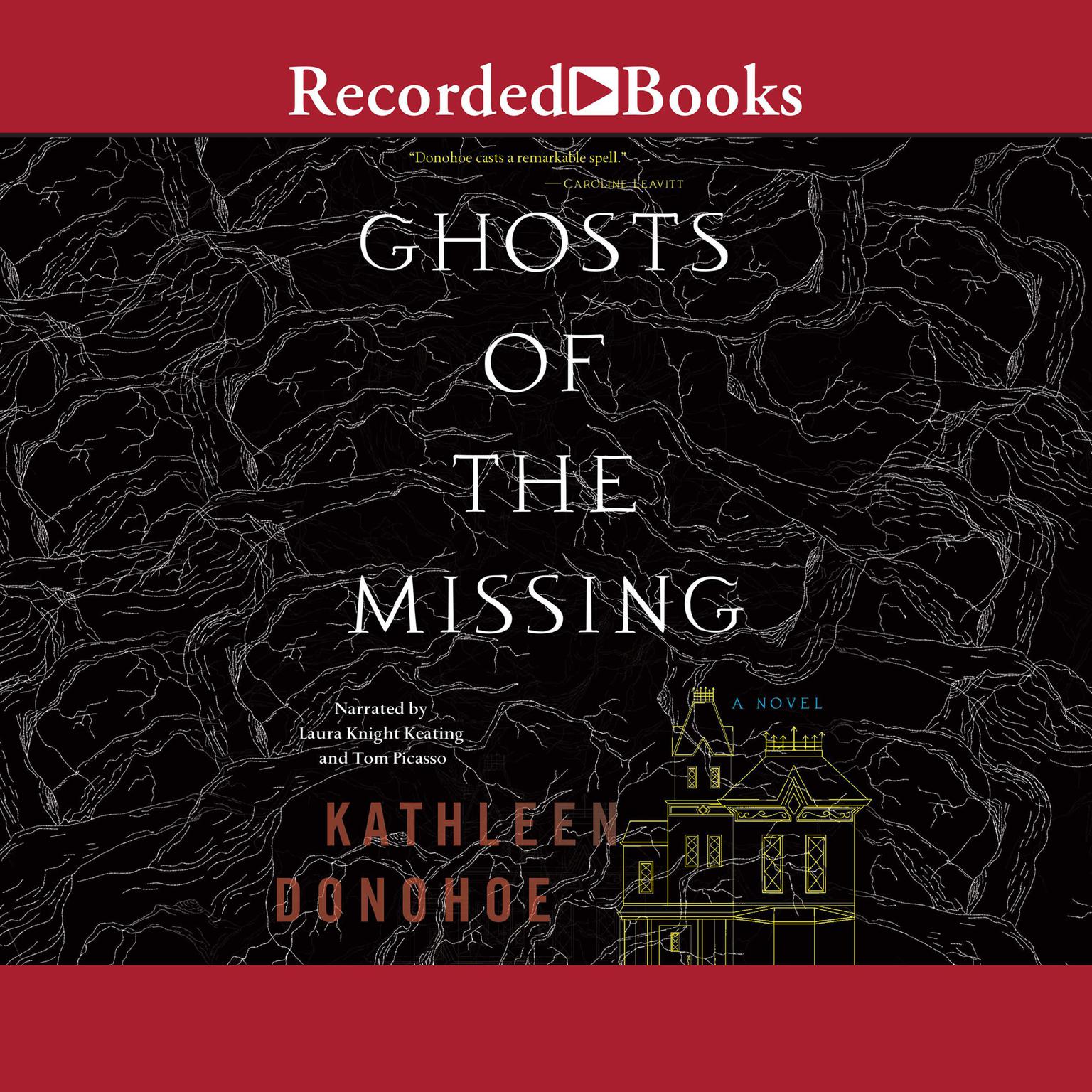 Ghosts of the Missing Audiobook, by Kathleen Donohoe