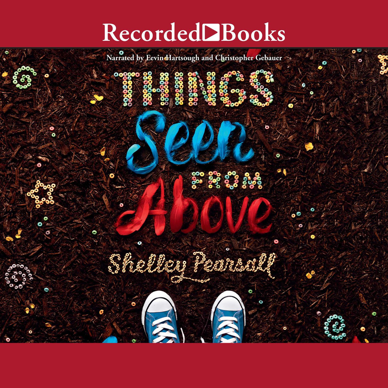 Things Seen From Above Audiobook, by Shelley Pearsall